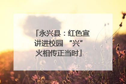 永兴县：红色宣讲进校园 “兴”火相传正当时
