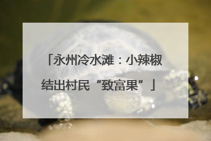 永州冷水滩：小辣椒结出村民“致富果”
