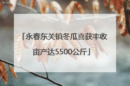 永春东关镇冬瓜喜获丰收 亩产达5500公斤