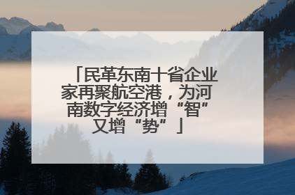 民革东南十省企业家再聚航空港，为河南数字经济增“智”又增“势”