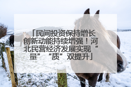 民间投资保持增长 创新动能持续增强！河北民营经济发展实现“量”“质”双提升