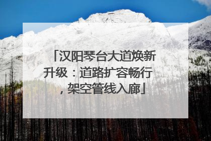 汉阳琴台大道焕新升级：道路扩容畅行，架空管线入廊
