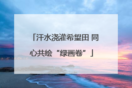 汗水浇灌希望田 同心共绘“绿画卷”