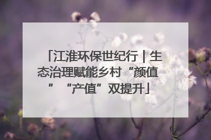 江淮环保世纪行｜生态治理赋能乡村“颜值”“产值”双提升