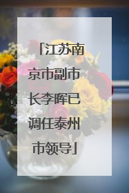 江苏南京市副市长李晖已调任泰州市领导