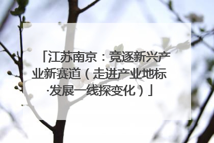江苏南京：竞逐新兴产业新赛道（走进产业地标·发展一线探变化）