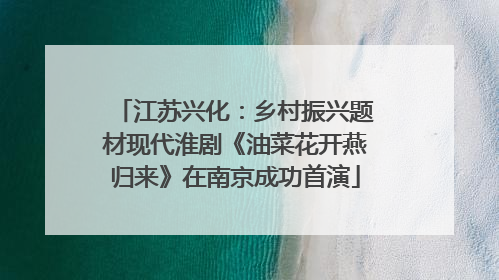 江苏兴化：乡村振兴题材现代淮剧《油菜花开燕归来》在南京成功首演