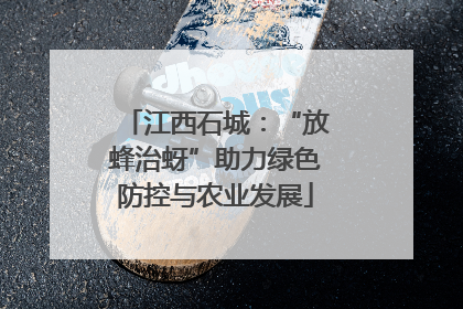 江西石城：“放蜂治蚜”助力绿色防控与农业发展