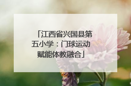 江西省兴国县第五小学：门球运动赋能体教融合