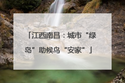 江西南昌：城市“绿岛”助候鸟“安家”