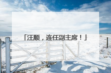 汪顺，连任副主席！