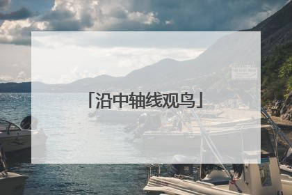 沿中轴线观鸟