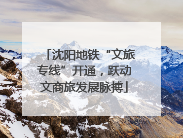 沈阳地铁“文旅专线”开通，跃动文商旅发展脉搏