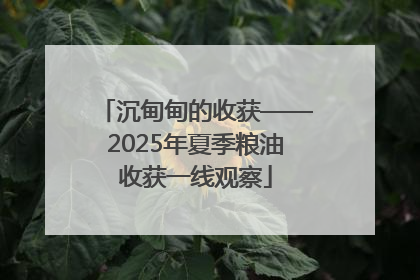 沉甸甸的收获——2025年夏季粮油收获一线观察