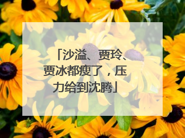 沙溢、贾玲、贾冰都瘦了，压力给到沈腾