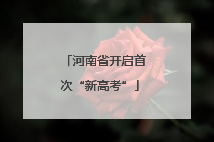 河南省开启首次“新高考”