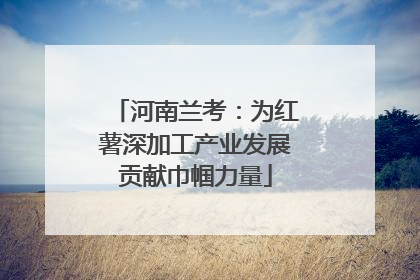 河南兰考：为红薯深加工产业发展贡献巾帼力量