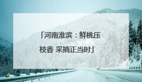 河南淮滨：鲜桃压枝香 采摘正当时