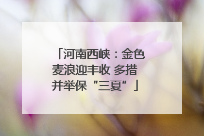 河南西峡：金色麦浪迎丰收 多措并举保“三夏”