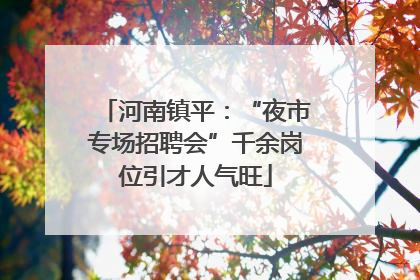 河南镇平：“夜市专场招聘会”千余岗位引才人气旺