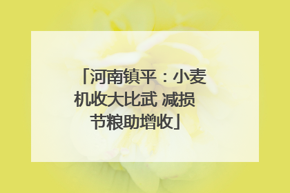 河南镇平：小麦机收大比武 减损节粮助增收