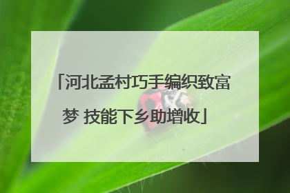 河北孟村巧手编织致富梦 技能下乡助增收