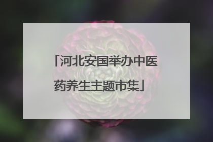 河北安国举办中医药养生主题市集