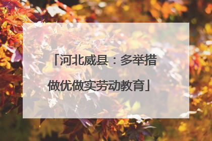 河北威县：多举措做优做实劳动教育