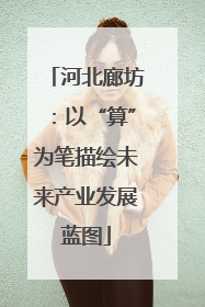 河北廊坊：以“算”为笔描绘未来产业发展蓝图