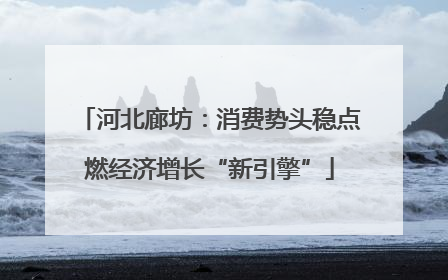 河北廊坊：消费势头稳点燃经济增长“新引擎”