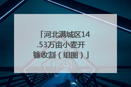 河北满城区14.53万亩小麦开镰收割（组图）