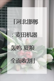 河北邯郸：麦田机器轰鸣 夏粮全面收割