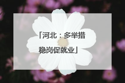 河北：多举措稳岗促就业