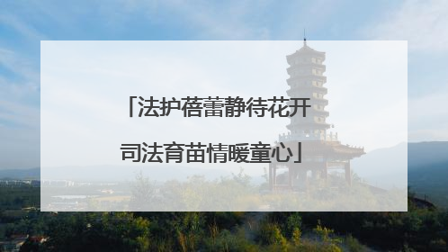 法护蓓蕾静待花开 司法育苗情暖童心