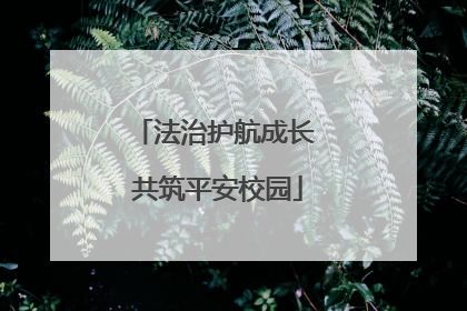 法治护航成长 共筑平安校园