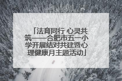 法育同行 心灵共筑——合肥市五一小学开展结对共建暨心理健康月主题活动