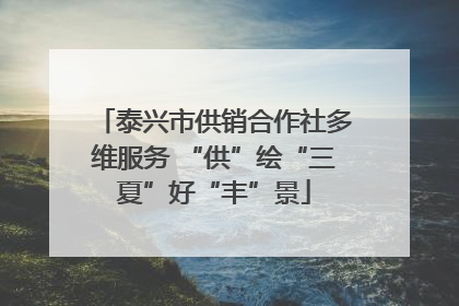 泰兴市供销合作社多维服务 “供”绘“三夏”好“丰”景