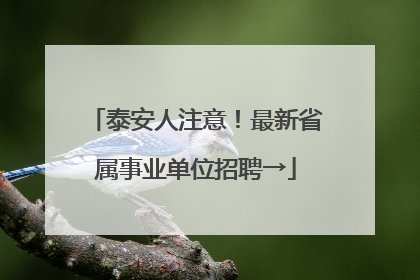 泰安人注意！最新省属事业单位招聘→