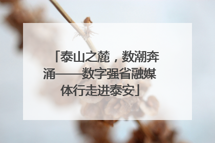 泰山之麓，数潮奔涌——数字强省融媒体行走进泰安