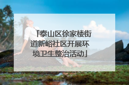 泰山区徐家楼街道新峪社区开展环境卫生整治活动