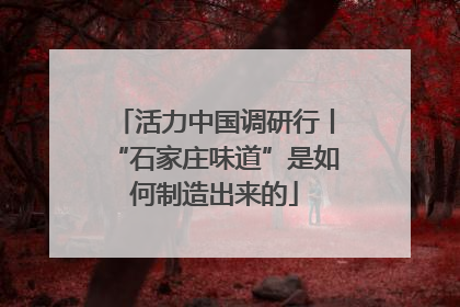 活力中国调研行丨“石家庄味道”是如何制造出来的