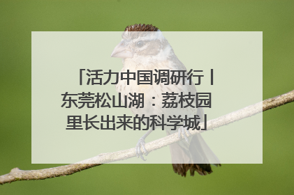 活力中国调研行丨东莞松山湖：荔枝园里长出来的科学城
