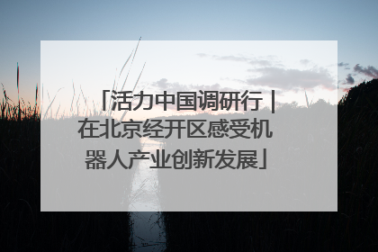 活力中国调研行｜在北京经开区感受机器人产业创新发展