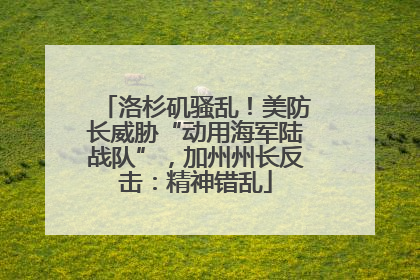 洛杉矶骚乱！美防长威胁“动用海军陆战队”，加州州长反击：精神错乱