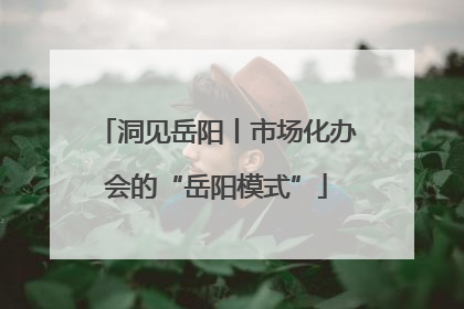 洞见岳阳丨市场化办会的“岳阳模式”