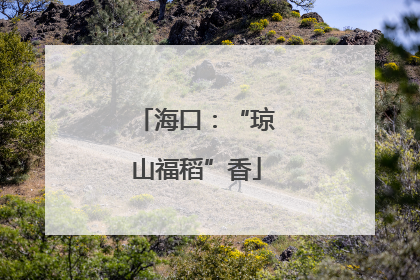 海口：“琼山福稻”香