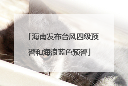 海南发布台风四级预警和海浪蓝色预警