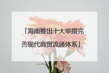 海南推出十大举措完善现代商贸流通体系