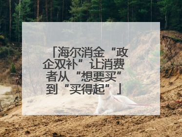 海尔消金“政企双补”让消费者从“想要买”到“买得起”