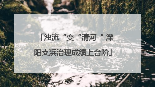 浊流“变“清河“ 溧阳支浜治理成绩上台阶